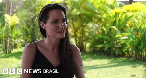 Angelina Jolie preservação ambiental Camboja comprou reserva